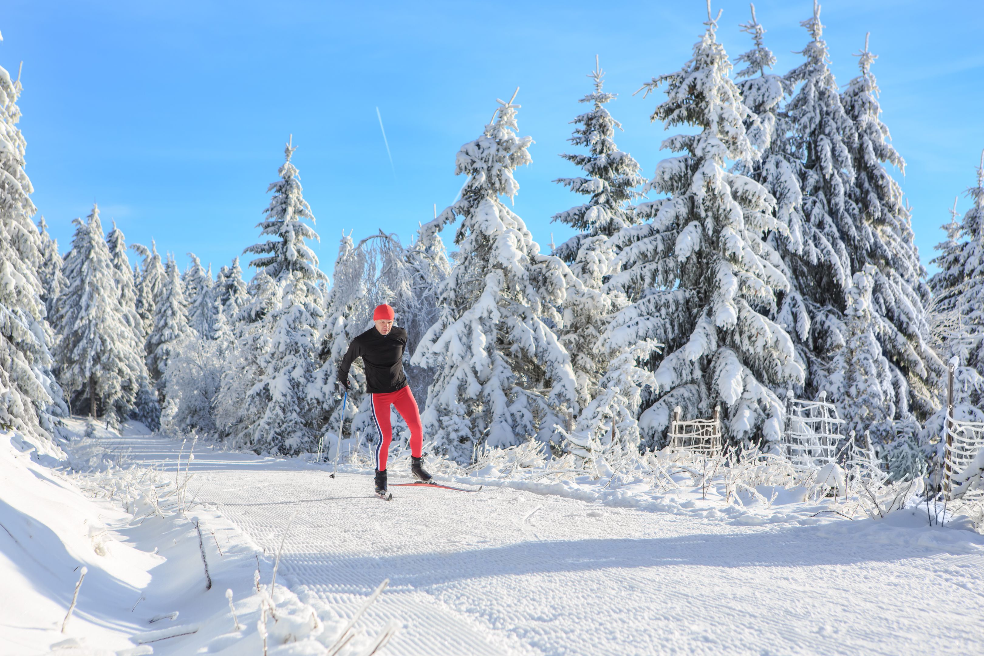 langlaufen-winteraktivitaet.jpeg